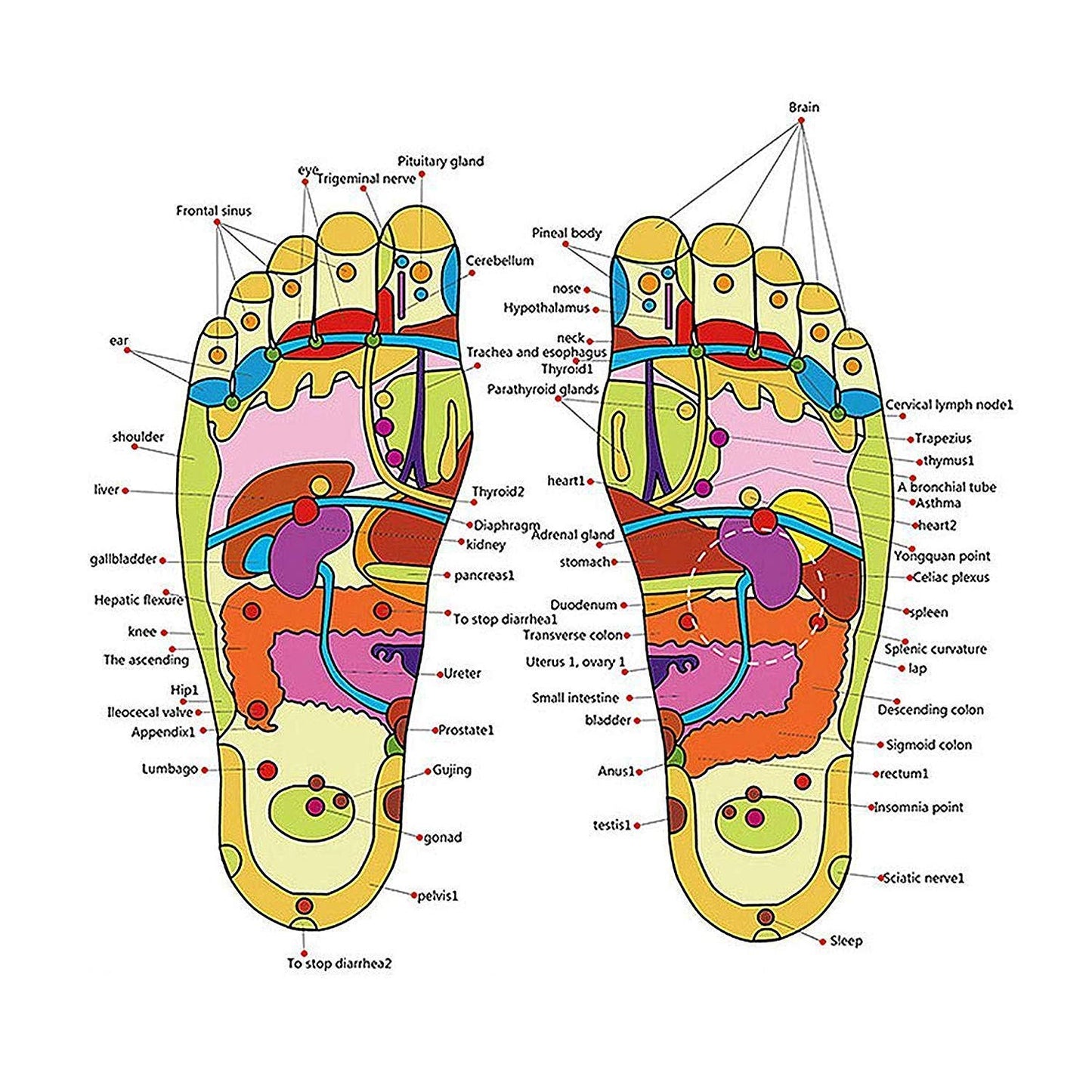 FootSoothe Acupressure Relaxer Slippers | Relax and Revitalize